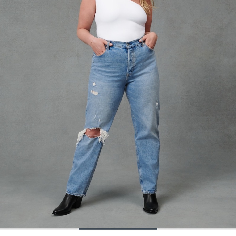 Abercrombie and Fitch - the dad - high rise jeans - curve love